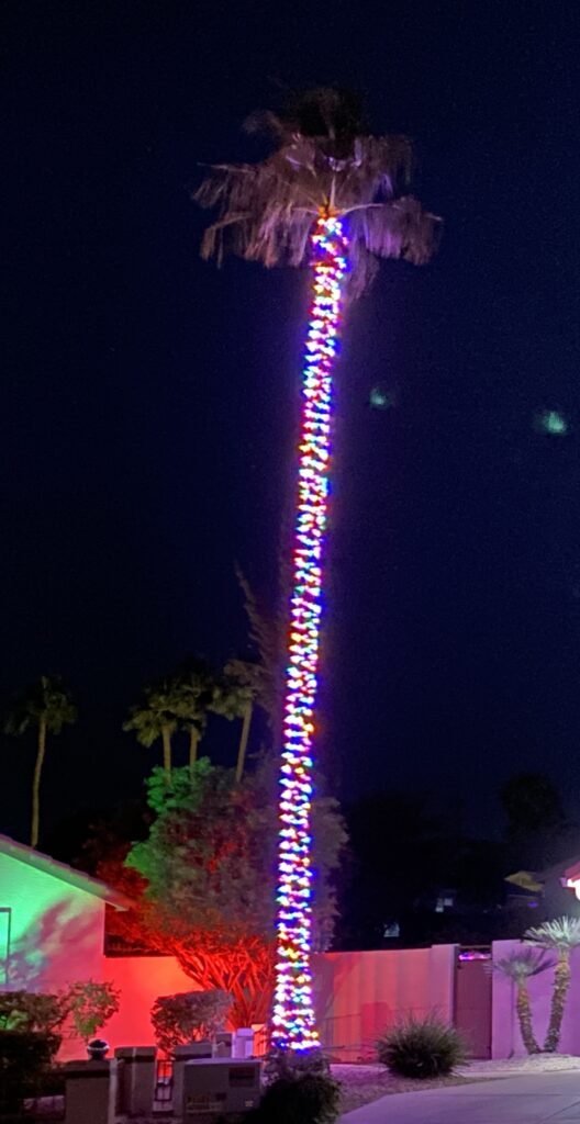 Christmas palm tree with lights